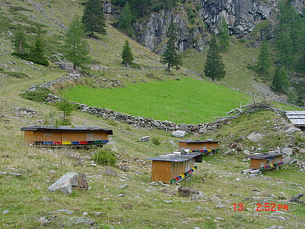 Wanderbienenstand Almrosentracht Oberstalleralm